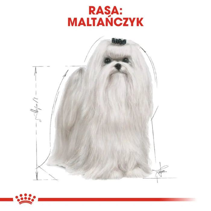 Royal Canin Maltese Adult Corn Poultry 0.5 kg - Dry foodDLP-KAS<<<For the dogDLP<<<ActionPL
