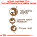 Royal Canin Senior Ageing 12+ dry cat food 2 kg - Dry foodDLK-KAS<<<For the catDLK<<<ActionPL