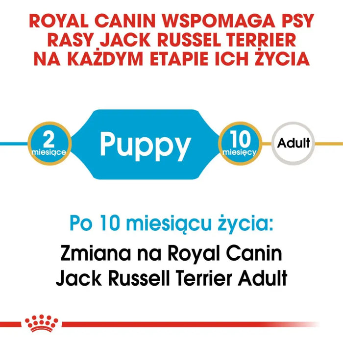 Royal Canin SHN Breed Jack Russell Junior - Dry dog food Poultry,Rice - 3 kg - Dry foodDLP-KAS<<<For