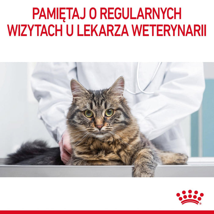 ROYAL CANIN Hair&Skin Care - dry cat food - 4kg