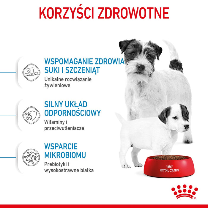 Royal Canin Mini Starter Mother & Babydog Adult Poultry 1 kg
