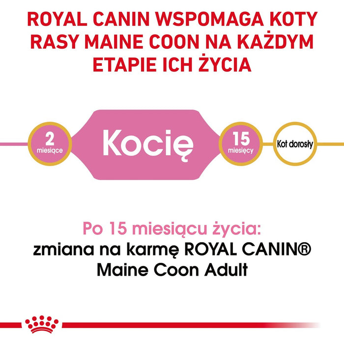 ROYAL CANIN Maine coon FBN Kitten - dry cat food - 400g