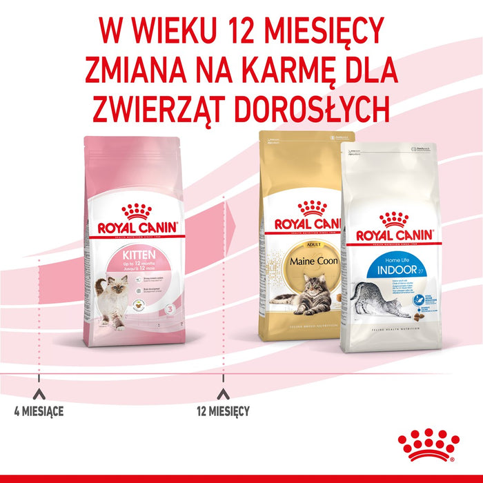 Royal Canin Kitten cats dry food 10 kg