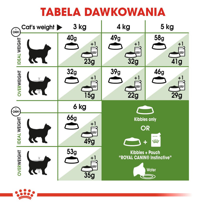 Royal Canin Active Life Outdoor cats dry food 4 kg Adult Poultry