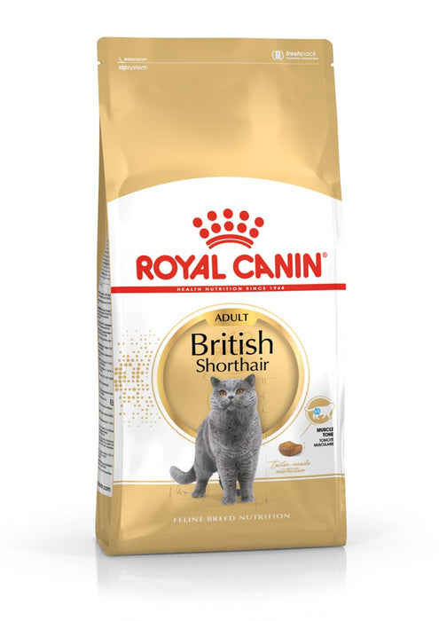 Royal Canin British Shorthair Adult cats dry food 4 kg