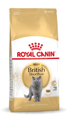 Royal Canin British Shorthair Adult cats dry food 4 kg