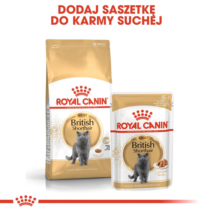 Royal Canin British Shorthair Adult cats dry food 4 kg