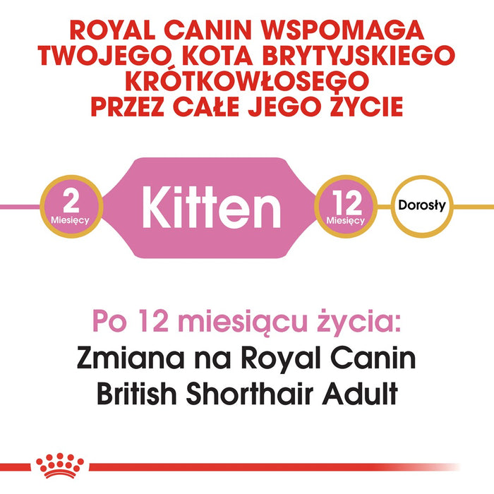 Royal Canin British Shorthair Kitten cats dry food 2 kg Poultry, Rice, Vegetable