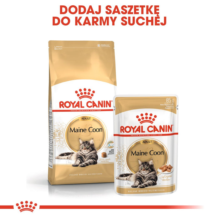 ROYAL CANIN FBN Maine Coon Adult dry cat food - 10kg