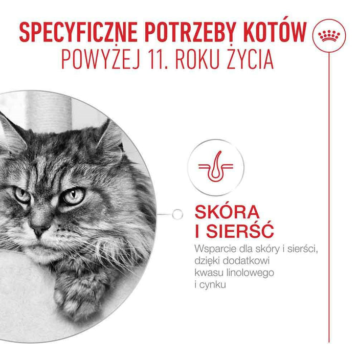 ROYAL CANIN Ageing 11+ Chunks in gravy - wet cat food - 12x85g
