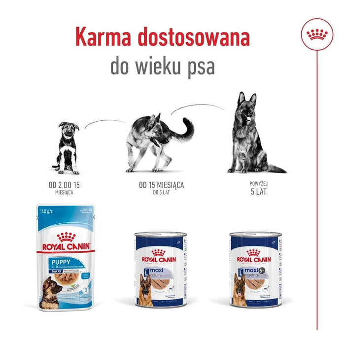 ROYAL CANIN Maxi Ageing Loaf - wet dog food - 410g