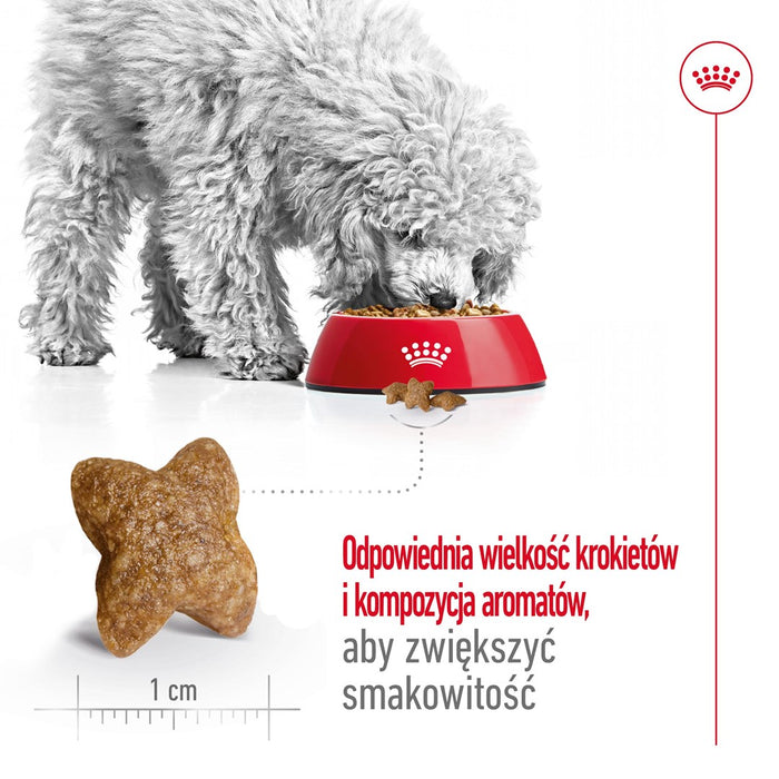 ROYAL CANIN Adult Mini S - dry dog food - 4kg