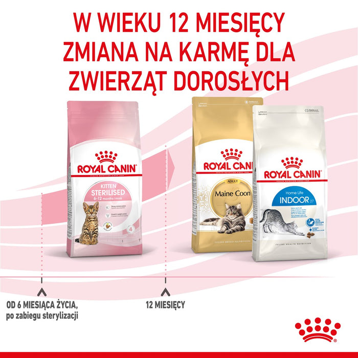 Royal Canin Kitten Sterilised cats dry food 3.5 kg Poultry