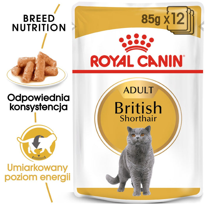 ROYAL CANIN British Shorthair packet 12x85g