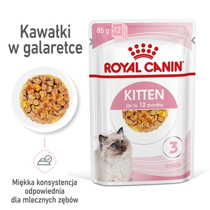 Royal Canin FHN Kitten Instinctive in jelly - wet food for kittens - 12x85g