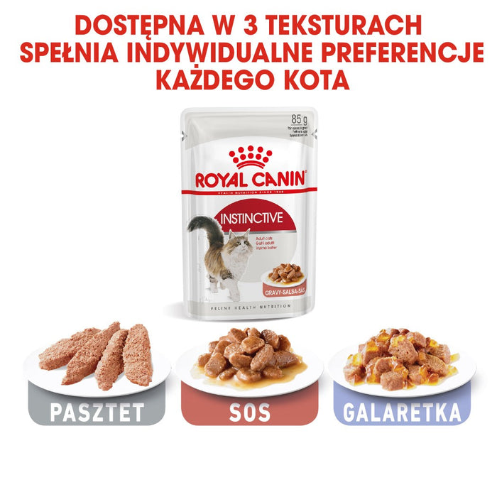 ROYAL CANIN FHN Instinctive - wet pate food for adult cats - 12x 85g