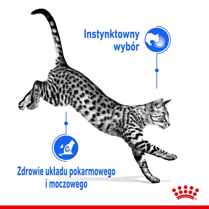 ROYAL CANIN Indoor Sterilized - Wet food for adult cats - Chunks in sauce 12x85 g