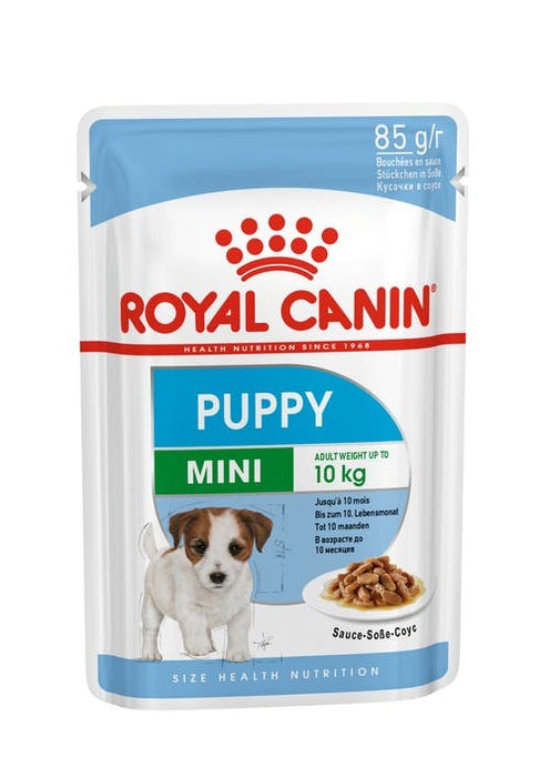 ROYAL CANIN SHN Mini Puppy in sauce - wet puppy food - 12X85g