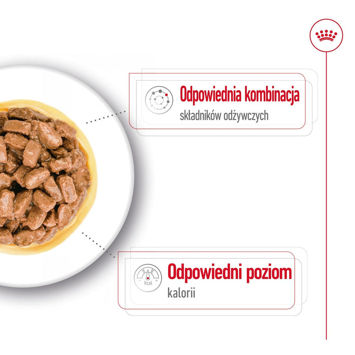 ROYAL CANIN Mini Ageing - wet dog food - 12 x 85g