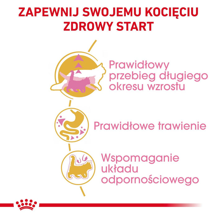 ROYAL CANIN Maine Coon Kitten - dry cat food - 2 kg
