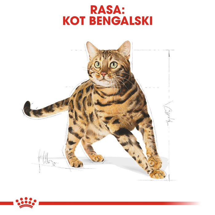 ROYAL CANIN FBN Bengal Adult - dry cat food - 10kg