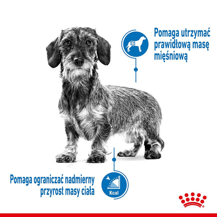 Royal Canin CCN MINI LIGHT WEIGHT CARE - dry food for adult dogs - 3kg