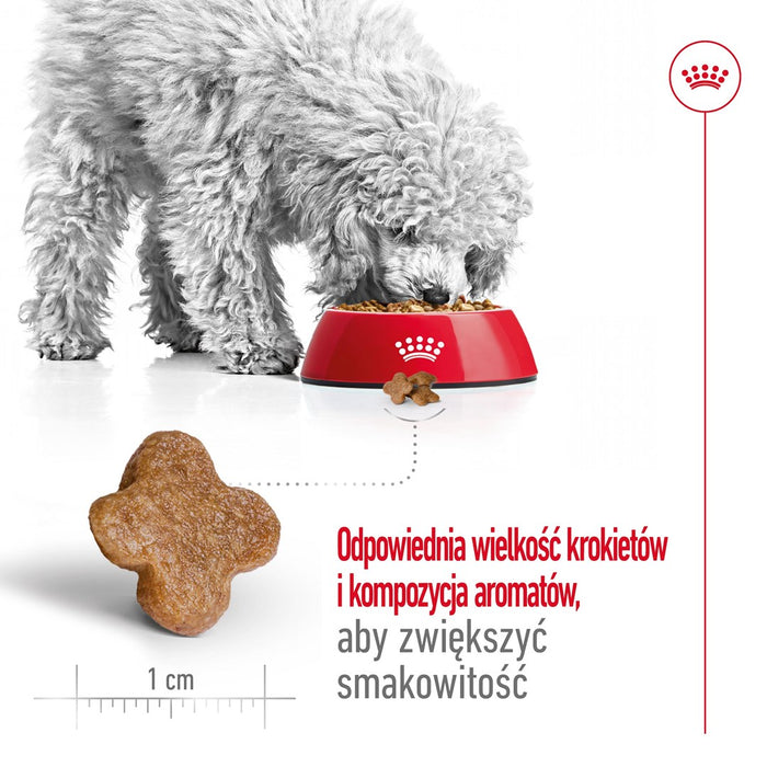 ROYAL CANIN S Mini Adult 8+ - dry dog food - 800 g