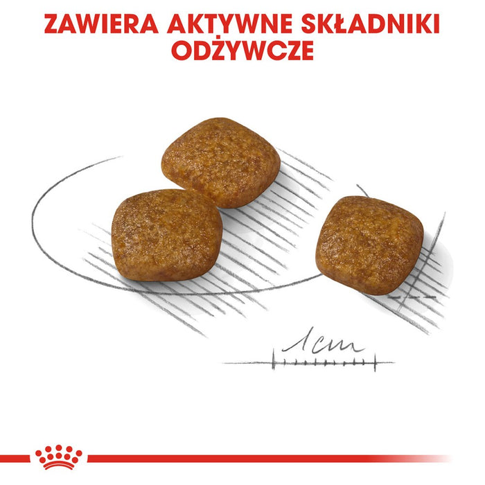 ROYAL CANIN Mini Urinary Care - dry dog food - 1 kg