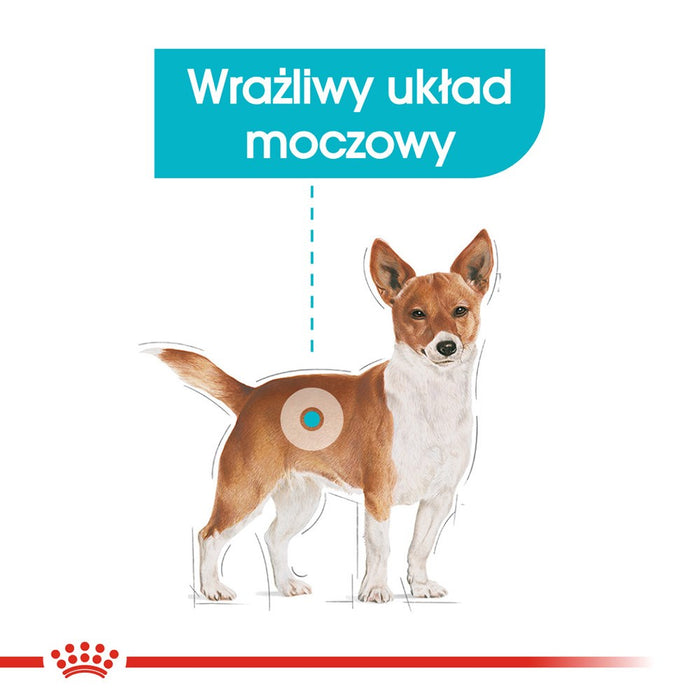 ROYAL CANIN Mini Urinary Care - dry dog food - 1 kg