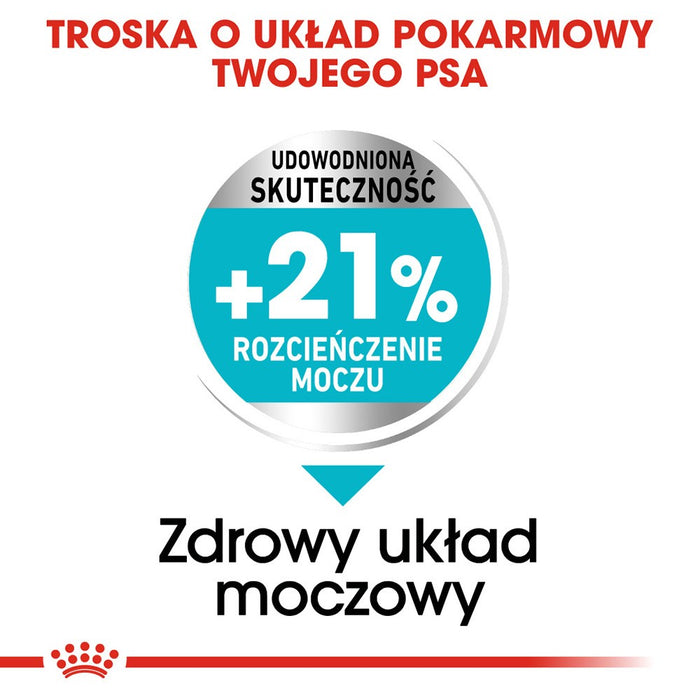 ROYAL CANIN Mini Urinary Care - dry dog food - 3 kg