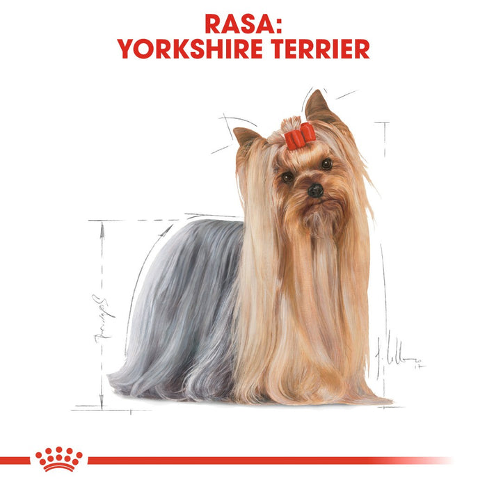 ROYAL CANIN BHN Yorkshire Terrier Adult - dry dog food - 3kg