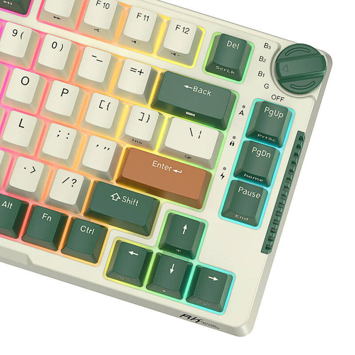 Royal Kludge RKH81 RGB Wireless Mechanical Keyboard Sky cyan switch (green) (QWERTY)