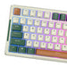 Royal Kludge RKH81 RGB Wireless Mechanical Keyboard Sky cyan switch (green) (QWERTY)