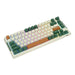Royal Kludge RKH81 RGB Wireless Mechanical Keyboard Sky cyan switch (green) (QWERTY)