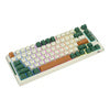 Royal Kludge RKH81 RGB Wireless Mechanical Keyboard Sky cyan switch (green) (QWERTY)