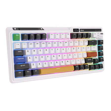Royal Kludge KZZI K75 pro RGB wireless mechanical keyboard, Moment Switch (black and white) (QWERTY)