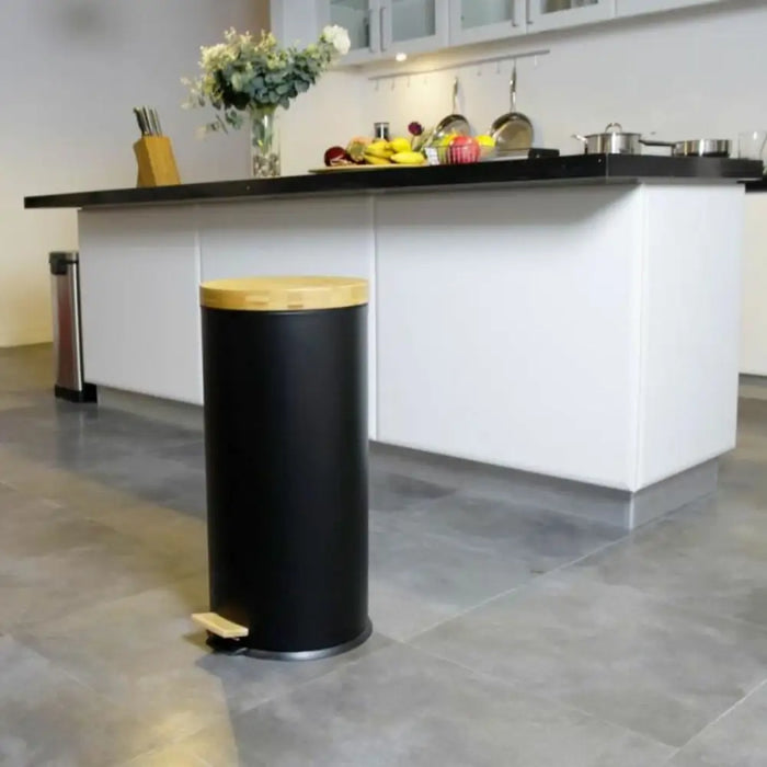 Rubbish Bin Kitchen Move Black Matte back 30 L - Почистване Прахосмукачки И Гладене<<<Дом Градина<<<BigBuy&&&Други
