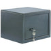 SAFE FOR MONEY AND DOCUMENTS BURG WACHTER PS 120 K - Сейфове<<<Сейфове и метални кутии<<<Инструменти и