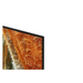 Samsung Neo QLED 75QN70F Ultra HD 4K Mini LED Smart HDR 100Hz (Up to 144Hz) Model 2025 - Телевизори 75’’<<<SAMSUNG