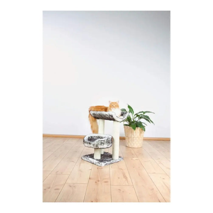 Scratching Post for Cats Trixie 44567 Tree Sisal Black Ø 8 cm 62 cm 36 x 36 cm - Здраве и хигиена<<<Домашни