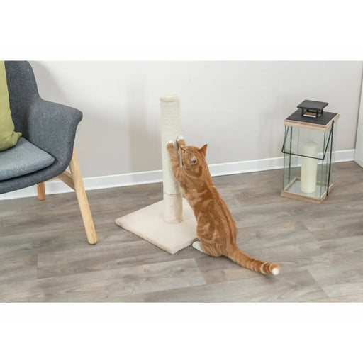Scratching Post for Cats Trixie Batres Beige Ø 9 cm 62 cm - Домашни Животни<<<Дом Градина<<<BigBuy&&&Играчки<<<Домашни