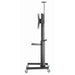 Screen Table Support GEMBIRD TVS-70T-02 70’’ 37’’ - Монтиране на екрани<<<Електроника Периферни и резервни