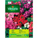 SEED VERBINA BIG VILMORIN - Семена<<<Семена луковици и разсад<<<Градина<<<Praktiker