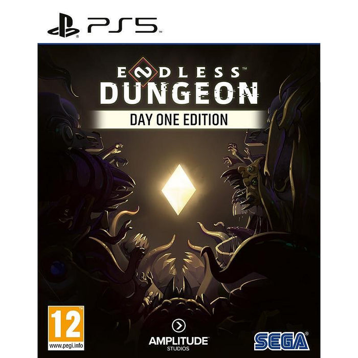 Endless Dungeon Day One Edition Game (PS5)