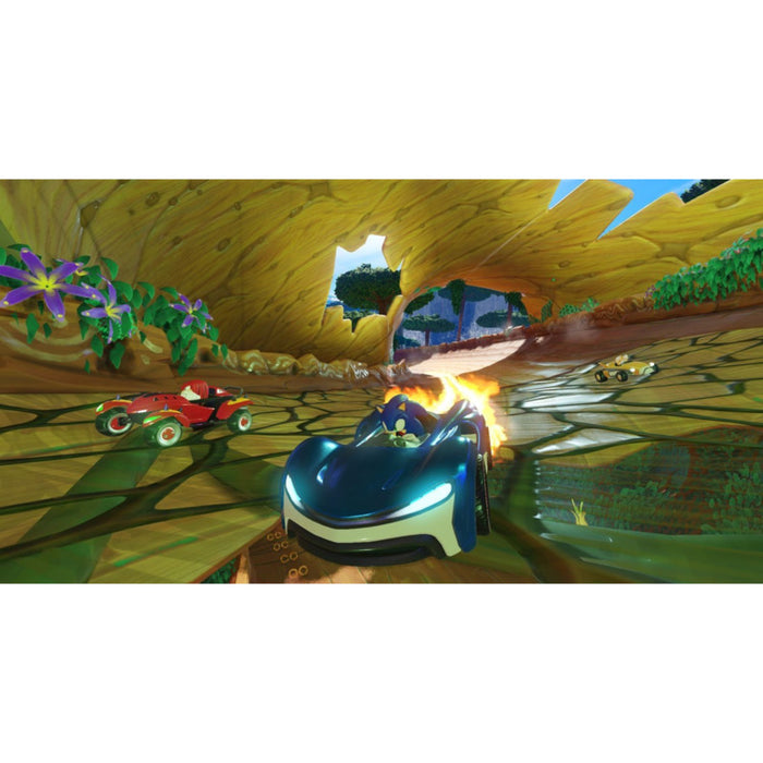 TEAM SONIC RACING (NSW) game