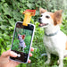 Selfie Clip for Pets Pefie InnovaGoods - Електроника Телефони и таблети<<<Компютри| Електроника<<<BigBuy&&&Aксесоари за