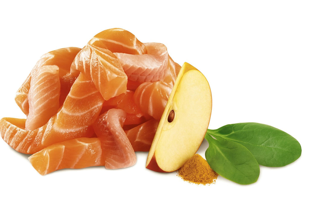 SHELMA Salmon and white fish pate - wet cat food - 100g