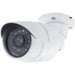 Simulated security camera Chacon - Сигурност Удома<<<Дом Градина<<<BigBuy&&&Видеокамери за наблюдение<<<Сигурност