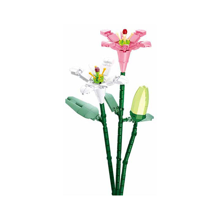 SLUBAN LILY