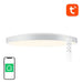 Smart ceiling lamp 32cm WiFi/Bluetooth 16M RGBCW Gosund LB11 1920lm Tuya + Remote Control. - Ceiling